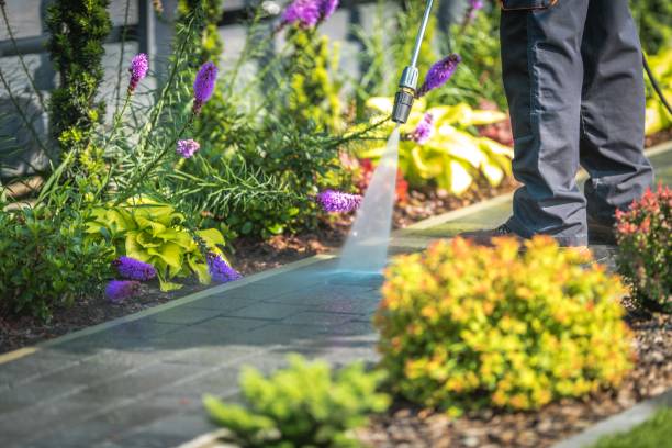 Best Parking Lot and Garage Cleaning  in Medpolis, IA