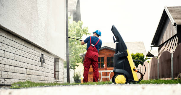 Best Gutter Cleaning  in Medpolis, IA